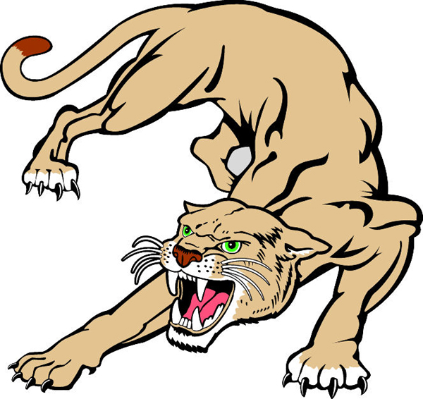 Stalking Cougar team mascot full color vinyl sports decal. Personalize on line. Cougar 2